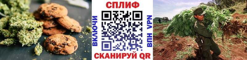 Купить  Канаш  Печенье с ТГК марихуана 