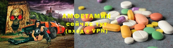 сатива Заводоуковск
