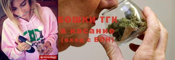 сатива Заводоуковск