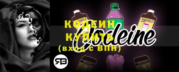 сатива Заводоуковск