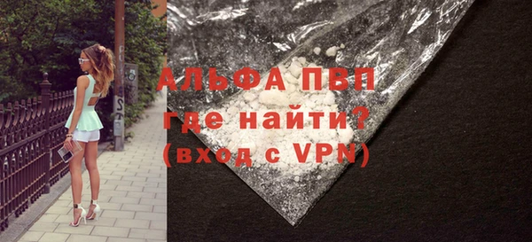 сатива Заводоуковск