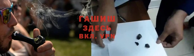 сатива Заводоуковск