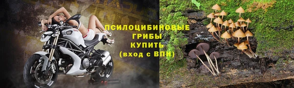 сатива Заводоуковск