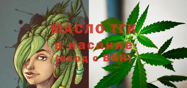 сатива Заводоуковск