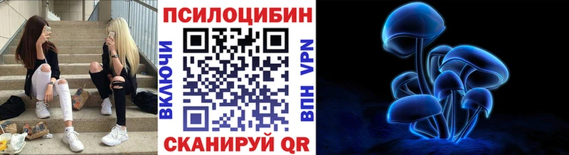 Купить где  Канаш  Галлюциногенные грибы Psilocybe 